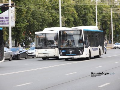 В Уфе названа себестоимость проезда в маршрутных автобусах