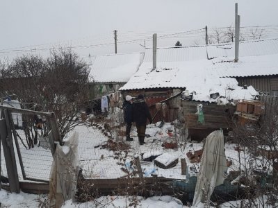 В Башкирии животных держат в жуткой антисанитарии: нужна помощь неравнодушных