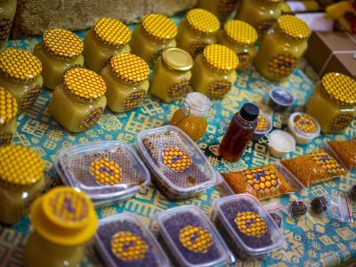 В Башкирии половину всего мёда производят в 15 районах