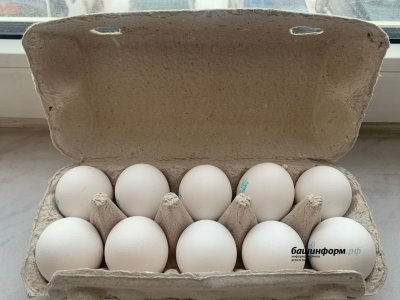 В Башкирии восстанавливается массовое производство яиц