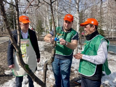 Ученые Башкирии проводят в уфимском парке уникальный эксперимент