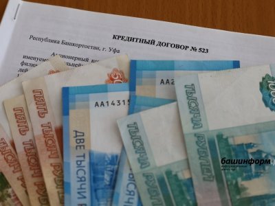 Депутаты Башкирии предложили ввести «период охлаждения» при выдаче кредитов