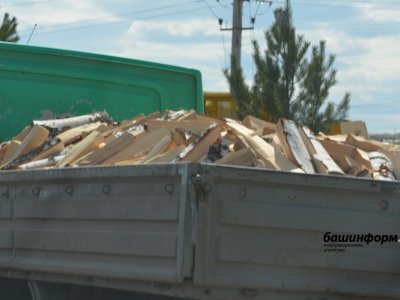 Житель Башкирии «нарубил дров» на 125 тысяч рублей
