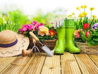 В Башкирии в Мелеузе садовые маршруты запускаются 15 мая