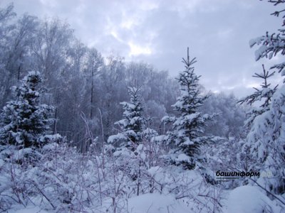В Башкирии дан предварительный прогноз погоды на февраль