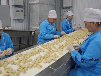 Радий Хабиров посетил производство Давлекановского комбината мясных полуфабрикатов