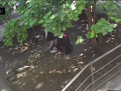 Появилось видео кражи «серебряного» памятника клещу Валере в Уфе