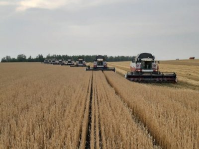 Урожай зерна в Башкирии достиг 2,2 млн тонн