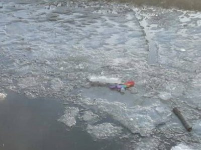 В Башкирии по факту гибели 3-летней девочки в овраге с талой водой возбуждено уголовное дело