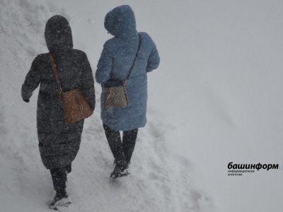 В Башкирии прогнозируется ненастная погода: мокрый снег, сильный ветер, гололед