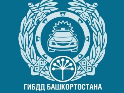 ГИБДД по Башкирии запускает чат-бот для связи с населением в телеграме