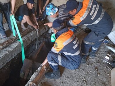 Спасатели вытащили корову из смотровой ямы гаража в Башкирии