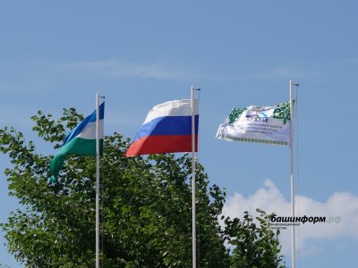Событие для экономики и бизнеса: чем важен Башкирии V всероссийский инвестсабантуй «Зауралье»