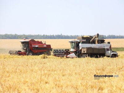 В Башкирии валовой намолот зерна составил более 2 млн 700 тысяч тонн