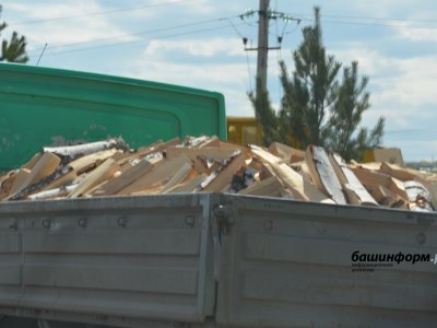 В Башкирии неизвестные «нарубили дров» на более чем 6 млн рублей