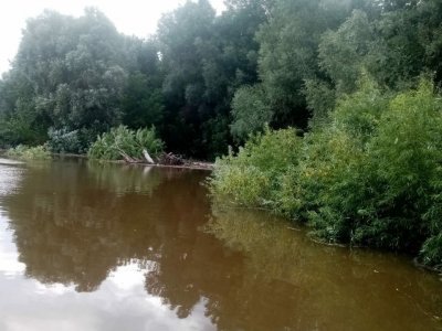 В Уфе спасатели пятый месяц ищут пропавшего без вести Дамира Адигамова