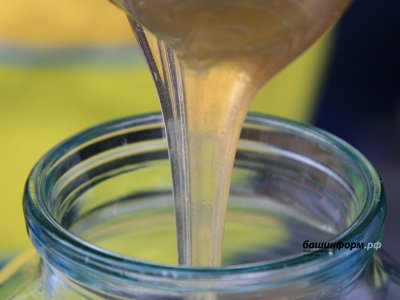 Экспорт меда из Башкирии в зарубежные страны вырос в 2,5 раза