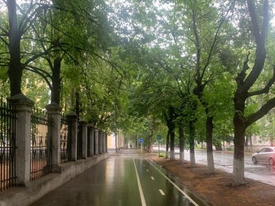 Дожди не хотят уходить: синоптики Башкирии рассказали о погоде в ближайшие дни