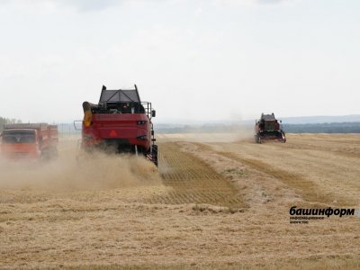 Аграриям возместят часть расходов на производство зерновых в 2022 году