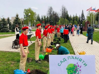 Радий Хабиров рассказал, как проходят акции «Зеленая Башкирия» и «Сад памяти»