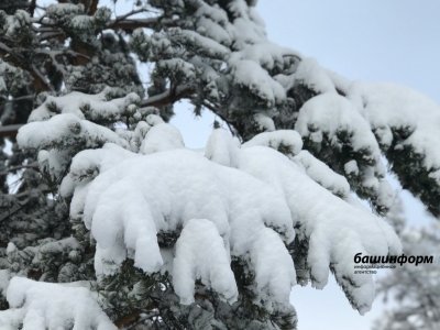 В Башкирии прогнозируется похолодание до -21 градуса