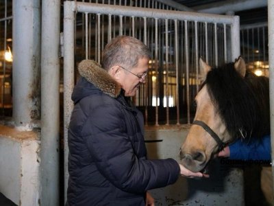 Радий Хабиров рассказал о создании в Башкирии Центра лошади