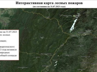 На территории Башкирии действующих лесных пожаров нет
