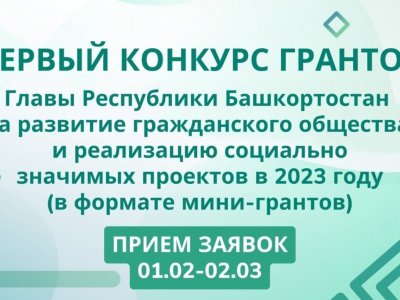 Как жителям Башкирии получить до полумиллиона рублей на реализацию своих проектов