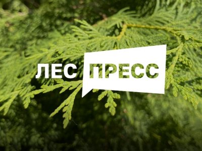 Журналистов и блогеров Башкирии приглашают к участию в конкурсе «Лес-пресс»