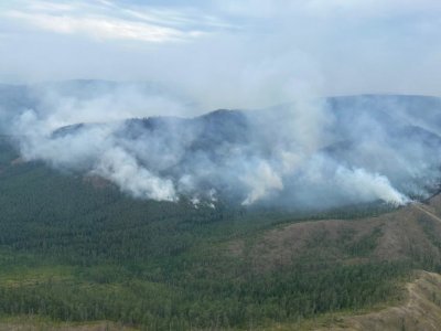 В Белорецком районе Башкирии удалось остановить верховое горение самого крупного лесного пожара