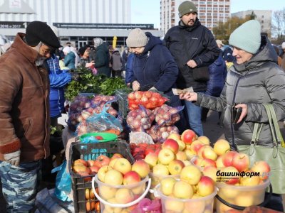 В 27 городах и районах Башкирии состоятся сельскохозяйственные ярмарки