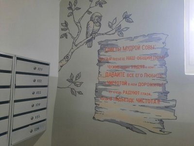 Подъезды дома в Башкирии украсили рисунки с совами