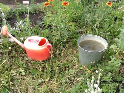 В Башкирии планируют расширить поддержку садоводов
