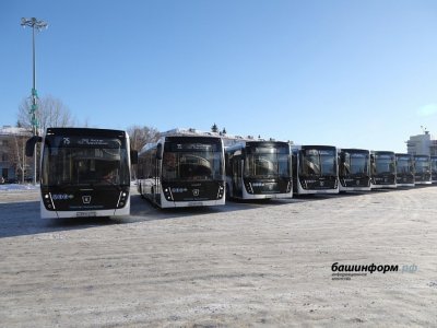 Автобусный парк регионов России за два года пополнят 4130 новых машин
