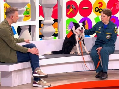 О подвигах собаки-спасателя Торина из Уфы рассказали в программе «Видели видео» на Первом канале