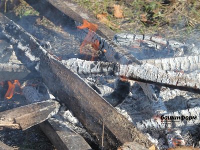 В двух районах Башкирии объявлен наивысший класс пожарной опасности