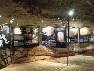 Во Франции открылась выставка, посвященная пещере Шульган-Таш