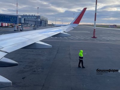 При наборе высоты в самолете Ереван - Уфа появилось тревожное сообщение о технической неполадке