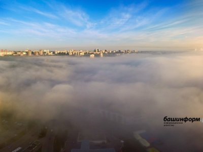 Жителей Башкирии предупредили о плотном тумане