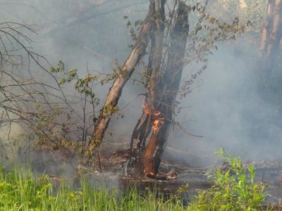В Краснокамском районе Башкирии тушат лесной пожар на площади 3 га