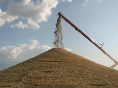 В Башкирии в сентябре погрузка зерна выросла в 3,6 раза