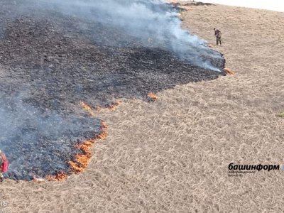 В природном парке «Аслы-Куль» удалось оперативно потушить возгорание сухой травы на площади 30 га