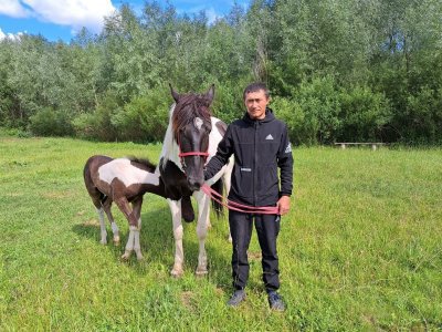 Участник международного фестиваля «Башкирская лошадь» приехал на кобыле стоимостью 500 тысяч рублей