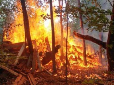 В Уфе произошел пожар в Кошкином лесу