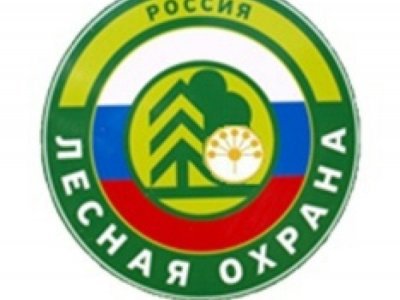 В Башкирии пройдет профилактическая операция «Лес»