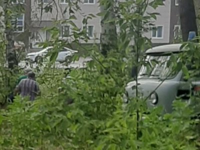 В Башкирии в лесопосадке обнаружили трупы двух мужчин
