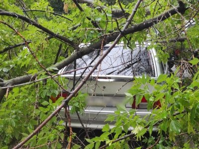 В Уфе деревья рухнули на шесть автомобилей