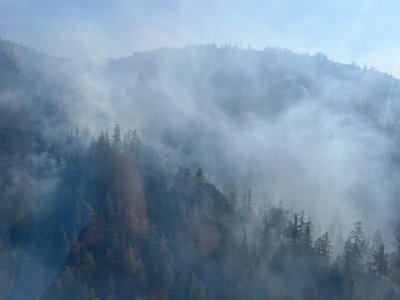В Белорецком районе Башкирии ввели режим ЧС из-за лесного пожара