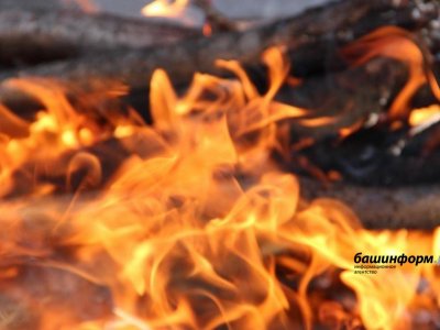 В Башкирии началась подготовка к весенне-летнему пожароопасному периоду