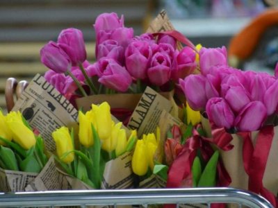 В Башкирии без ведома владельца продали цветочный павильон